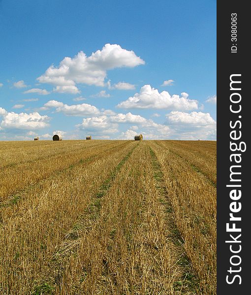 Field and blue sky with white clouds. Field and blue sky with white clouds