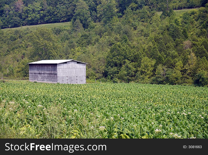 Road side barn