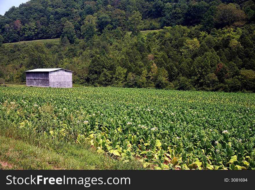 Road side barn