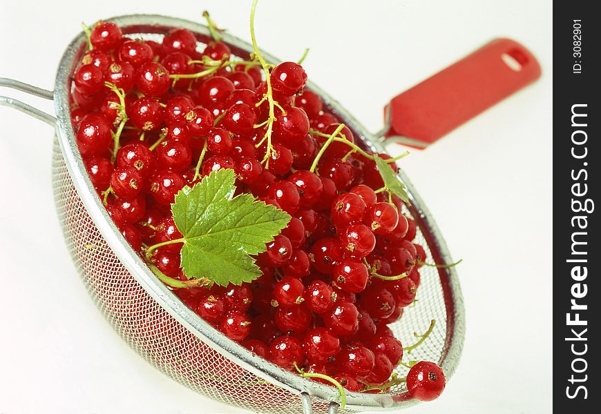Red currant on a white background