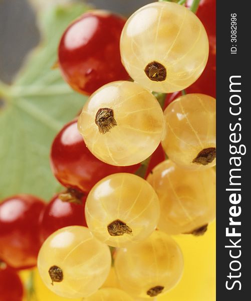 Red  And Yellow Currant