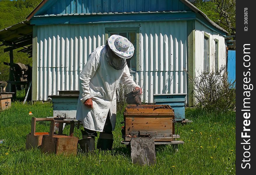 A beekeeper in veil at apiary among hives. Summer, sunny day. Russian Far East, Primorye.