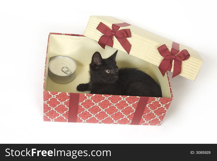 A black kitten sits inside of a gift box on white background. A black kitten sits inside of a gift box on white background