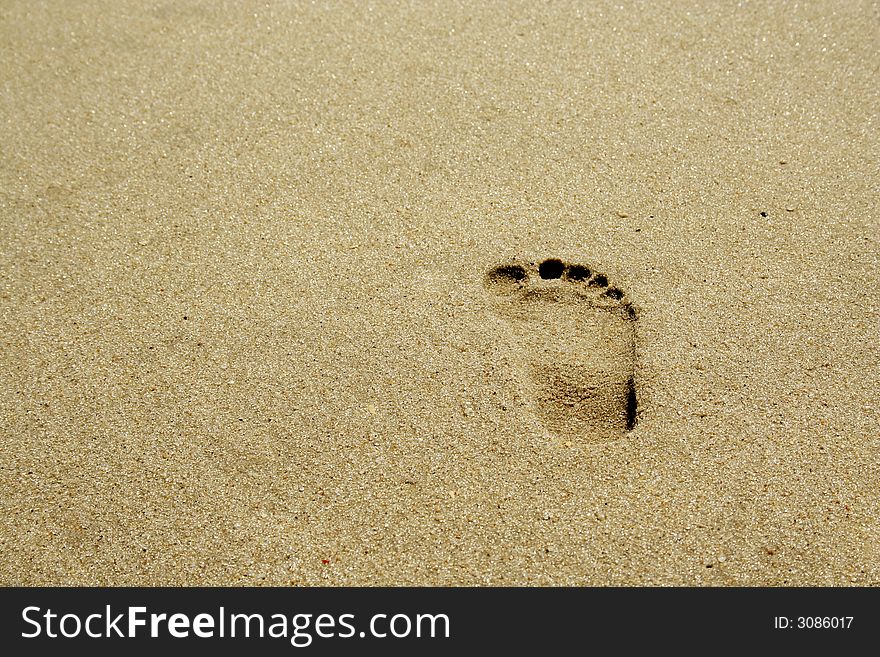 Footprint On The Beach