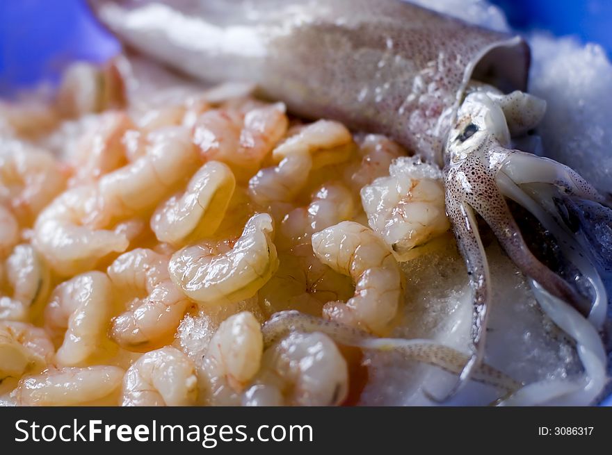 Fresh raw crustaceans and squid on ice close up. Fresh raw crustaceans and squid on ice close up