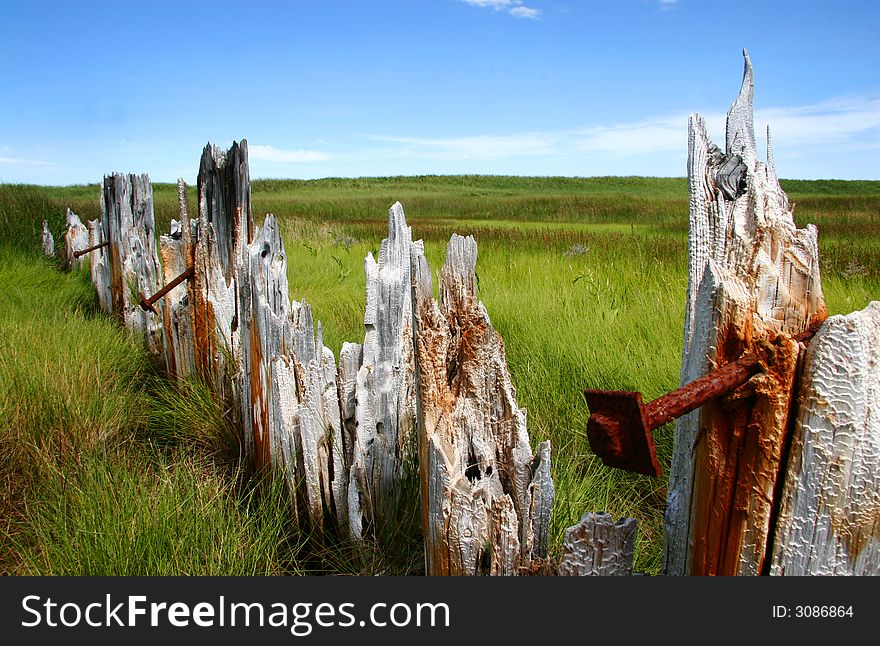 Old fence with rusty nails in a green lawn field. We see the sky at 1/3 at the top of the picture. Old fence with rusty nails in a green lawn field. We see the sky at 1/3 at the top of the picture.