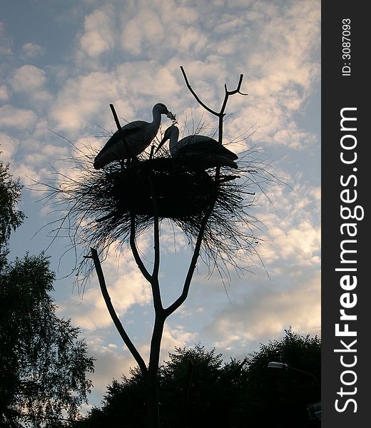 Silhouette of pair storks on a jack on a decline of day