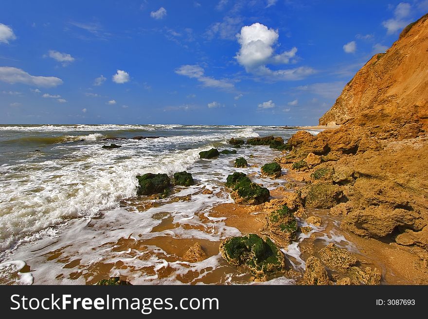 The Stones Covered By Seaweed