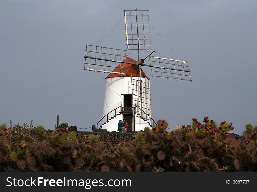Tourist Visit Wind Mill