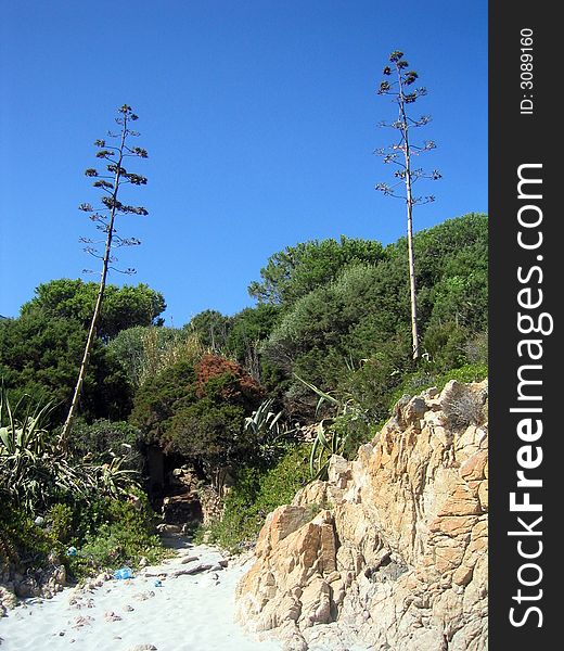 A dettail from Cala Liberotto, Sardegna! One of the most beautiful beach in Sardegna, call it Paradise Beach!. A dettail from Cala Liberotto, Sardegna! One of the most beautiful beach in Sardegna, call it Paradise Beach!