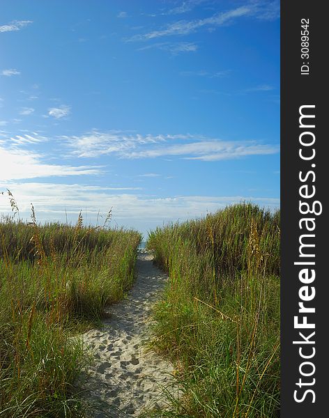 Winding Trail Leading To Ocean