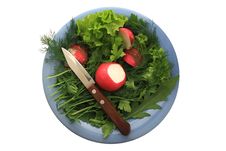 Greens And Radishes On A Blue Plate With A Knife Stock Photos