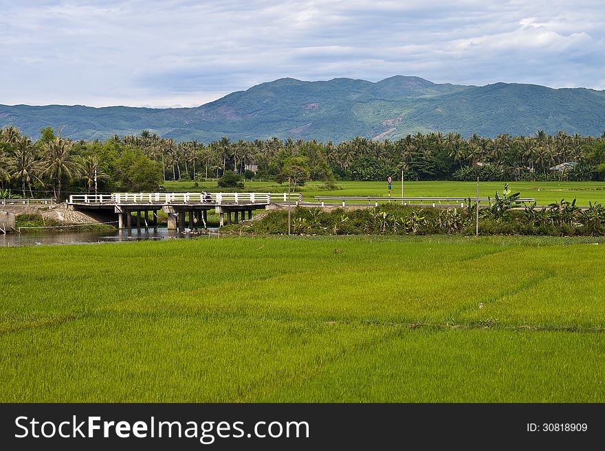 Green countryside in Southern Vietnam