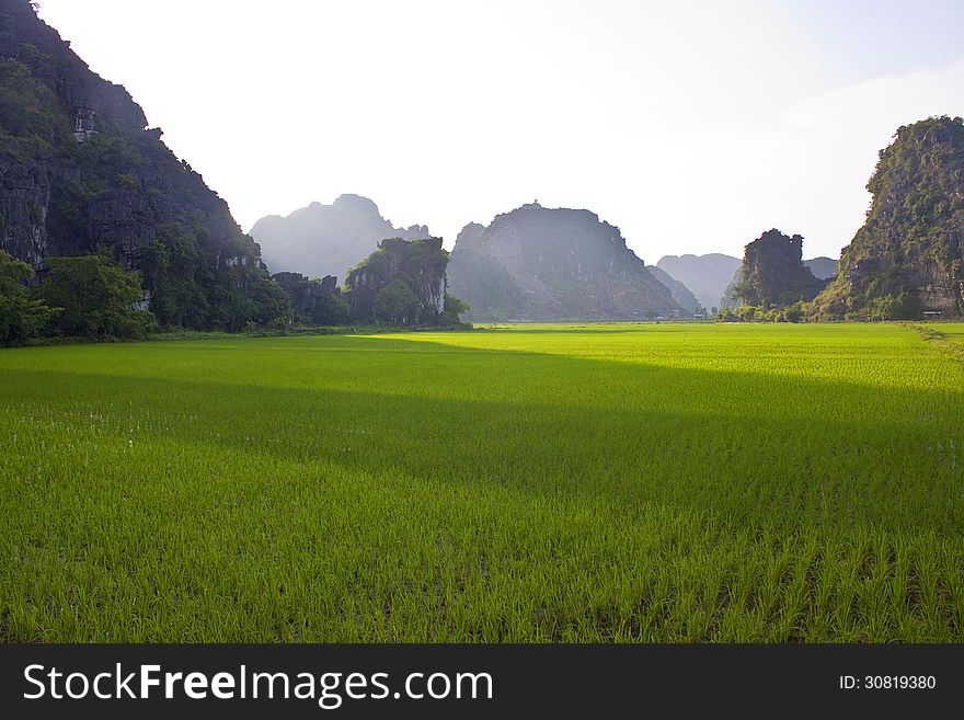 Vietnam Limestone Landscape