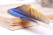 Pen And Paper Royalty Free Stock Images