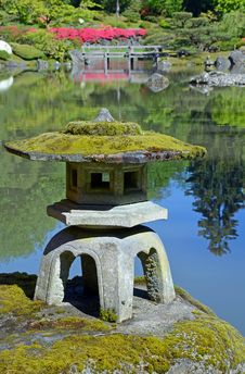 Japanese Garden Pond Stock Image