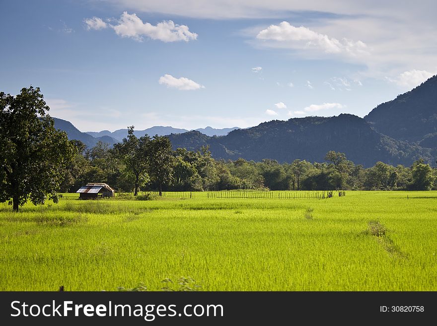 Green countryside in central Laos