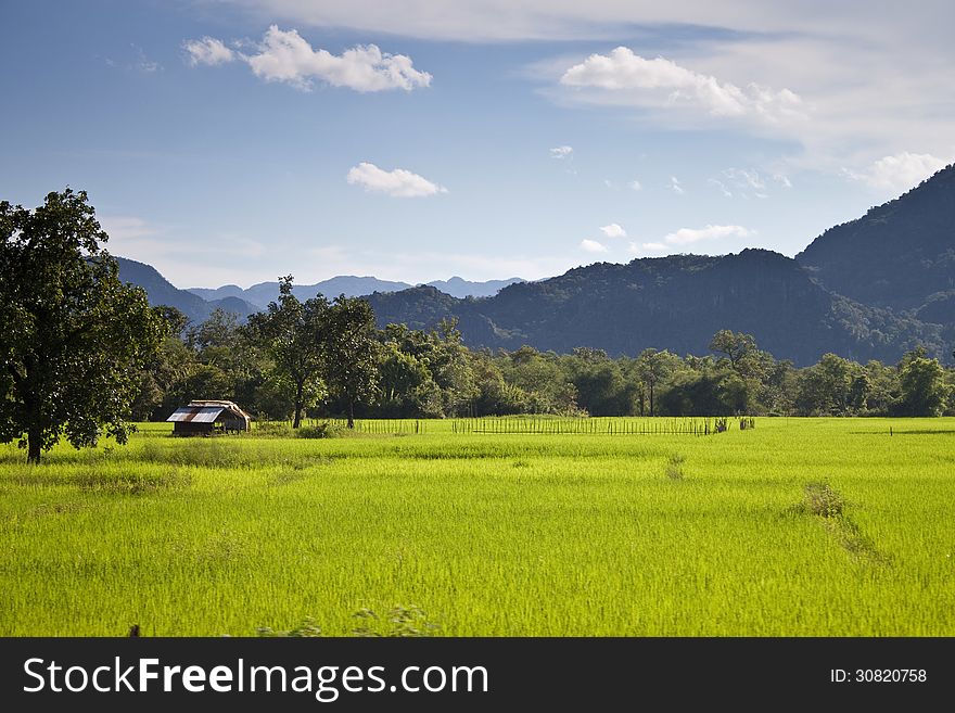 Green Countryside