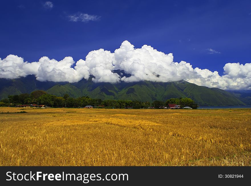 The Fields After Harvest.