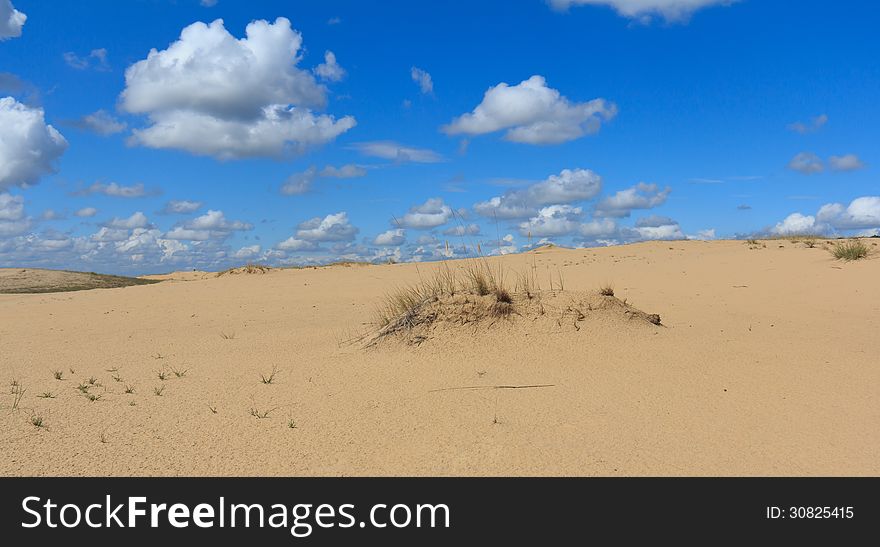 Sandy desert with beautiful landscape, wildlife and nature around it. Sandy desert with beautiful landscape, wildlife and nature around it