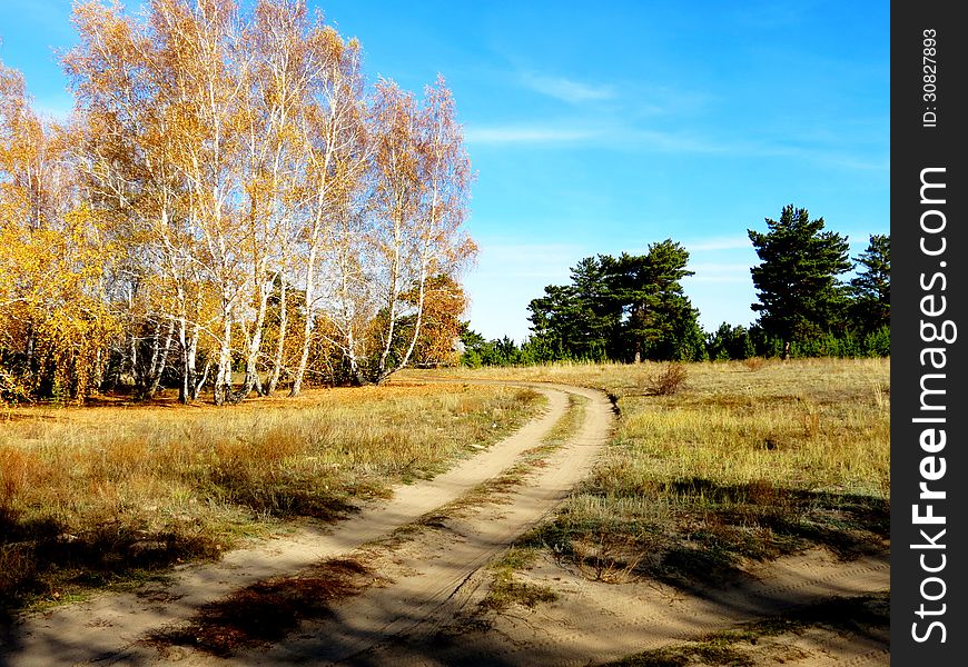 The golden autumn came to forest-steppes of Altai. The golden autumn came to forest-steppes of Altai