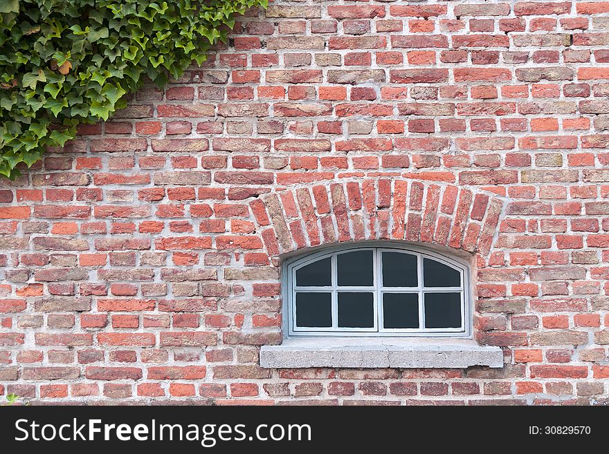 Old red brick wall with window and ivy branches on top. Old red brick wall with window and ivy branches on top