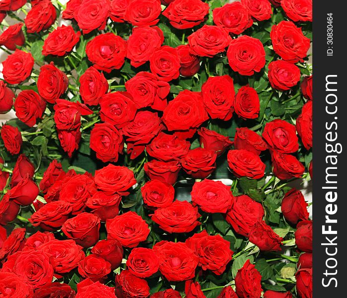 Arrangement of red rose bed in a flower show