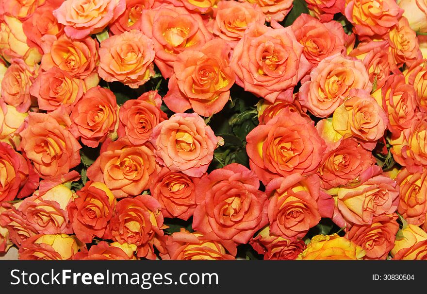Arrangement of pink and yellow rose bed in a flower show