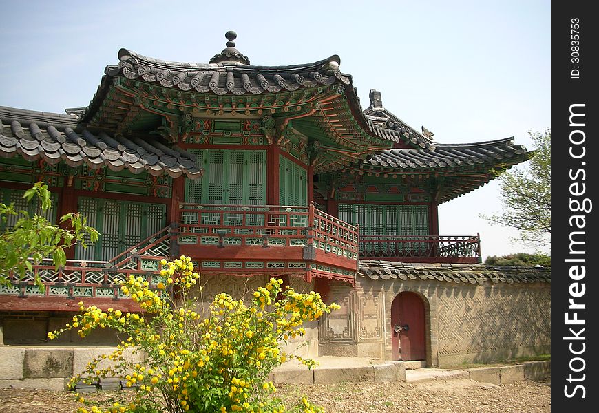 Changdeok Palace in Seoul, South Korea. This is looking at one of the palace buildings with blossoms in the foreground.