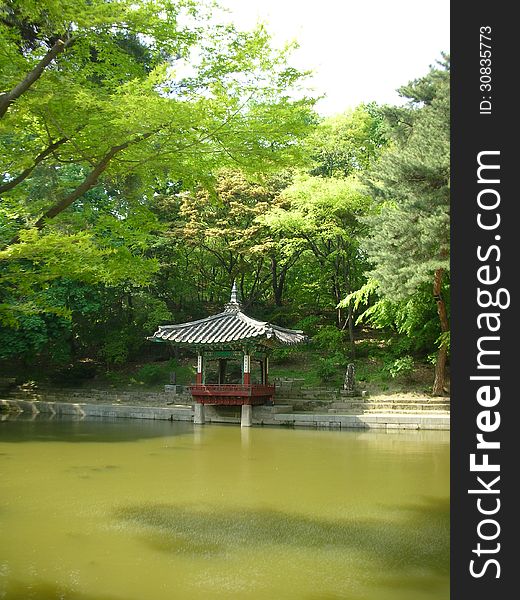 A view across the pond to a resting place beneath a pagoda. This is inside the secret garden of Changdeok Palace in South Korea.