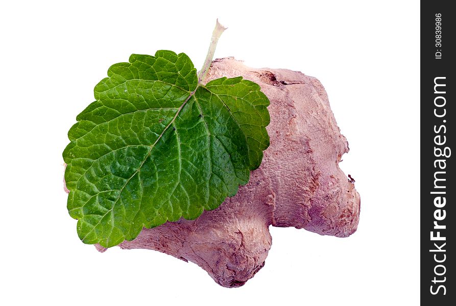 Leaf mint and ginger on white isolated