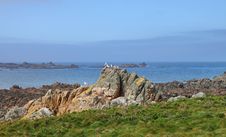 Rocky Shoreline On The Channel Isalnd Of Guernsey Royalty Free Stock Images Rocky Shoreline On The Channel Isalnd Of Guernsey Royalty Free Stock Images