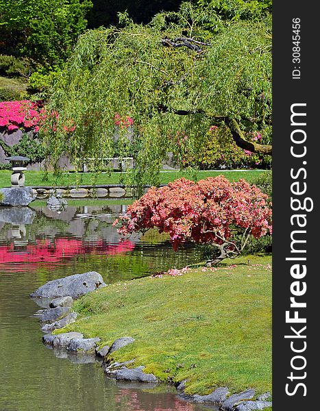Colorful japanese garden in springtime