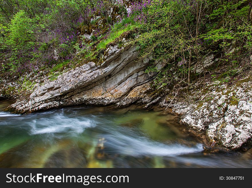 Fresh mountain stream and waterfalls in the forest in spring