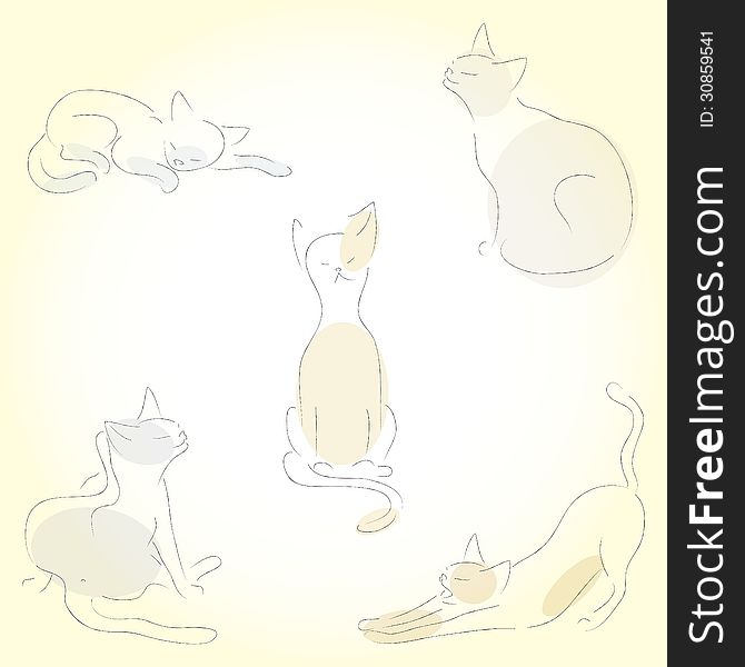 Sketches of cats