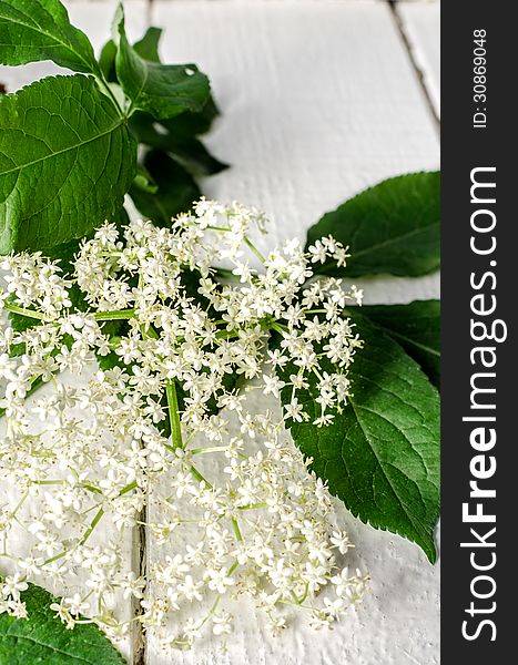 Elderberry flower on wood top