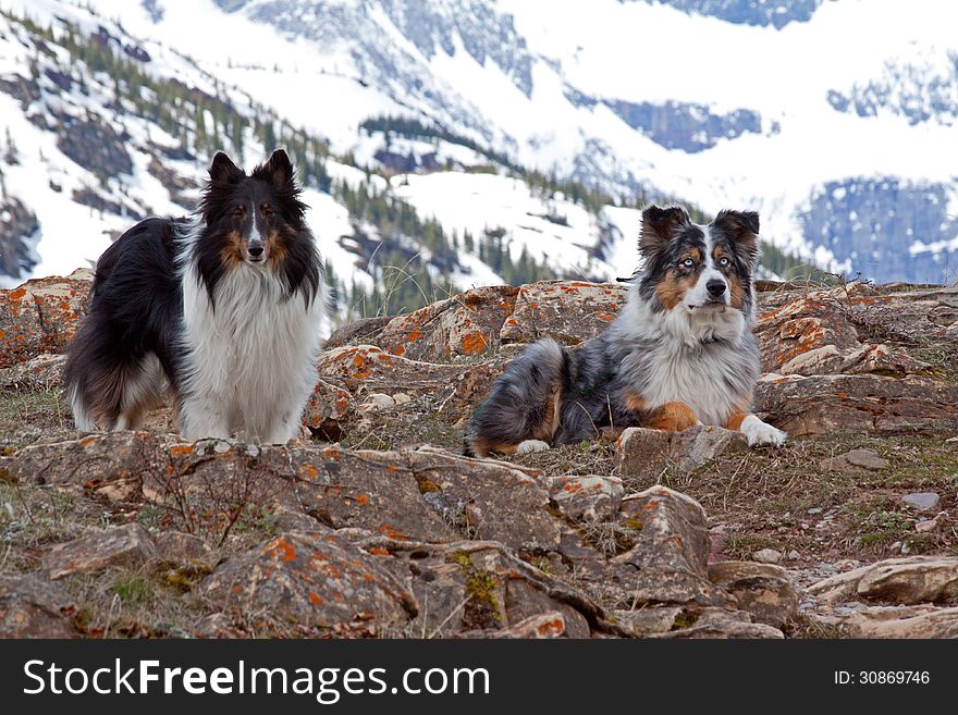 Two Friends On A Rocky Ledge