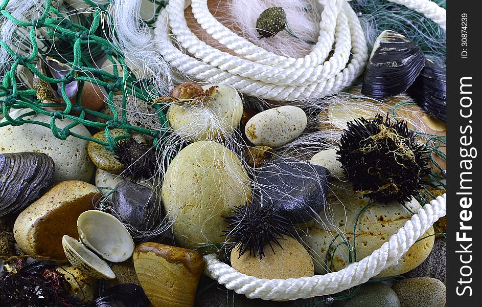 Still life with fishing net, stones and shells. Still life with fishing net, stones and shells