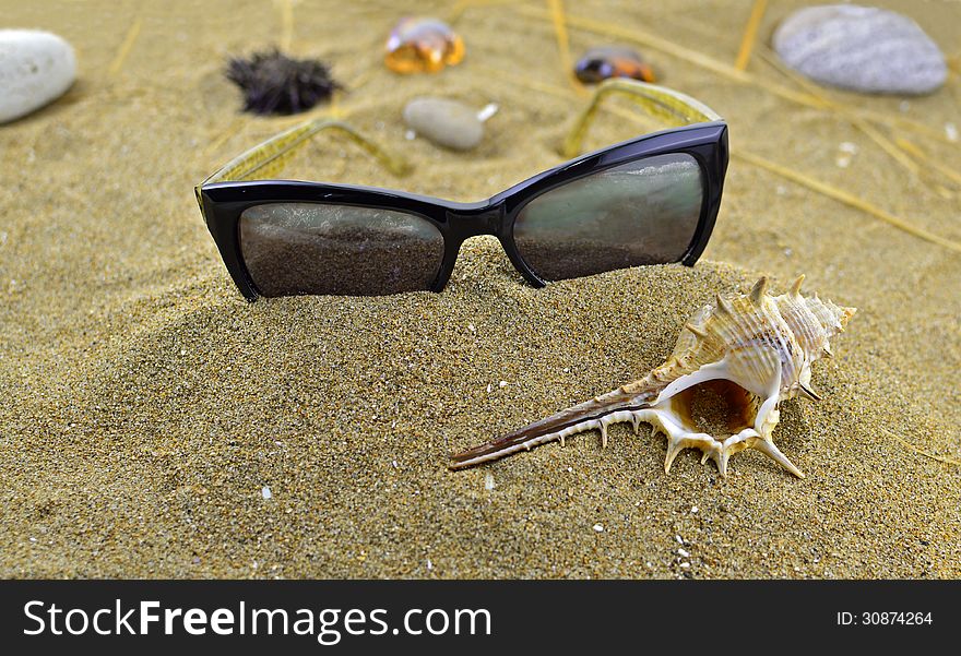 Still life of sunglasses on the sand with seashell