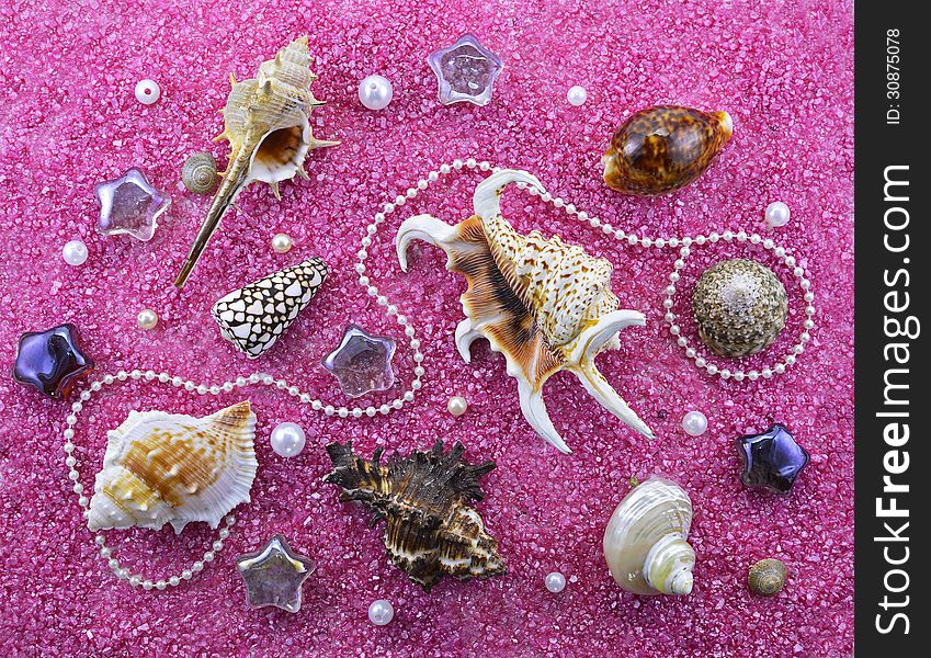 Fable still life with shells and decorations on pink sand. Fable still life with shells and decorations on pink sand