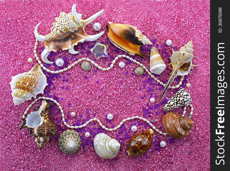 Still life of shells and decorations on pink sand background. Still life of shells and decorations on pink sand background