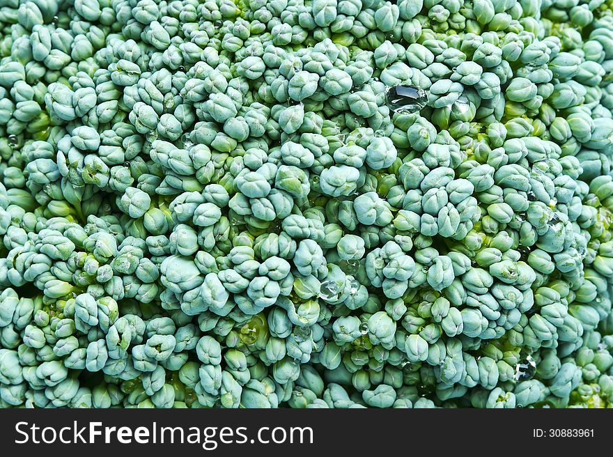 Macro of green broccoli with water drop background