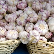Garlic Stock Images