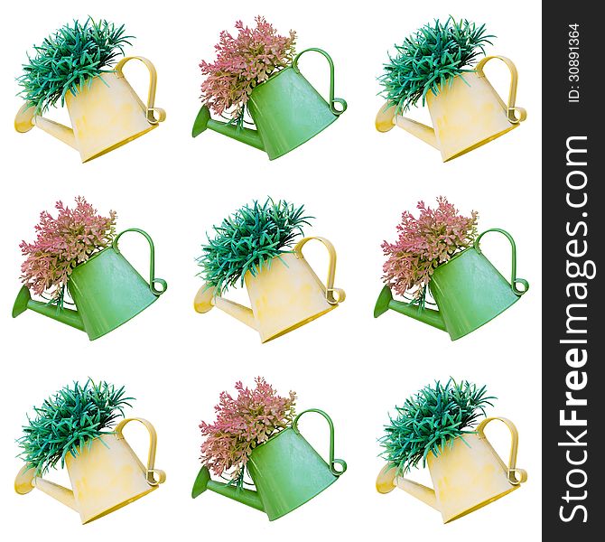 Beautiful plant in watering can decorate tile background isolated