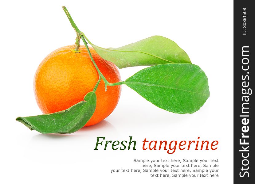 Fresh mandarin fruit with green leaves, on white background. Fresh mandarin fruit with green leaves, on white background