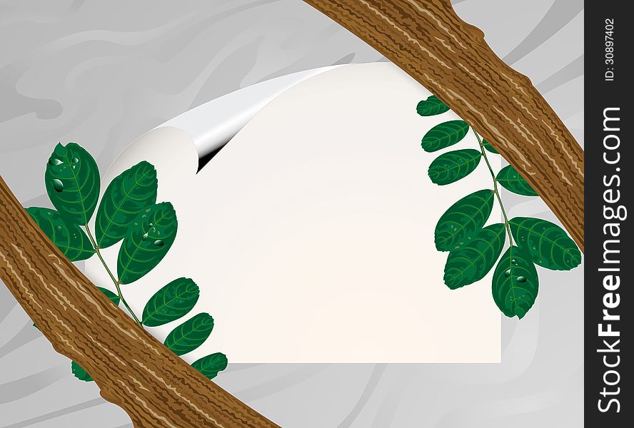 Illustration,paper sign with green leaves background