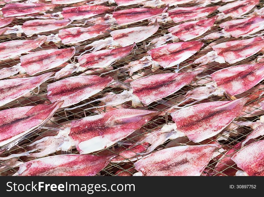 Squids placed in the strong sunshine to dry on net in seafood market Thailand. Squids placed in the strong sunshine to dry on net in seafood market Thailand