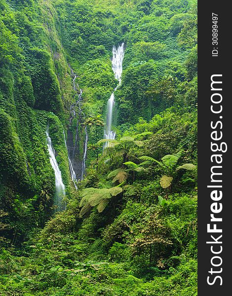 Madakaripura Waterfall â€“ Deep Forest Waterfall in East Java, Indonesia