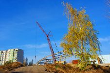 A Crane And Birch Stock Photos A Crane And Birch Stock Photos