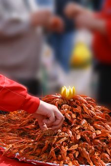 Big Tray Of Boiled Crayfishes Stock Image Big Tray Of Boiled Crayfishes Stock Image